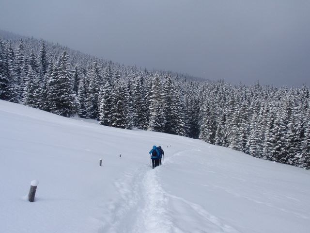 Rusinowa Polana