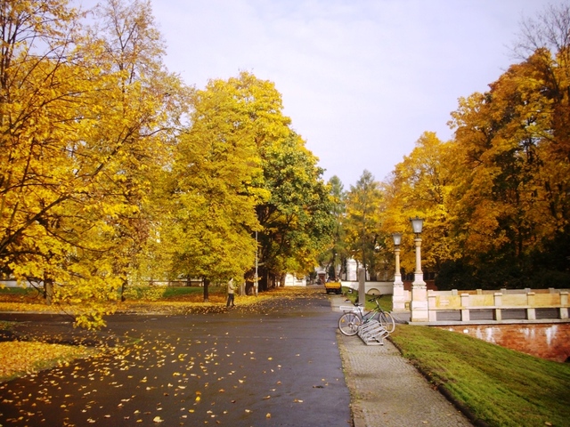 Wilanów 