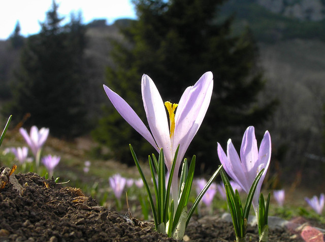 Mała Fatra, Słowacja