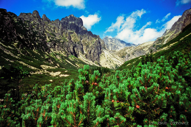 W drodze, Tatry