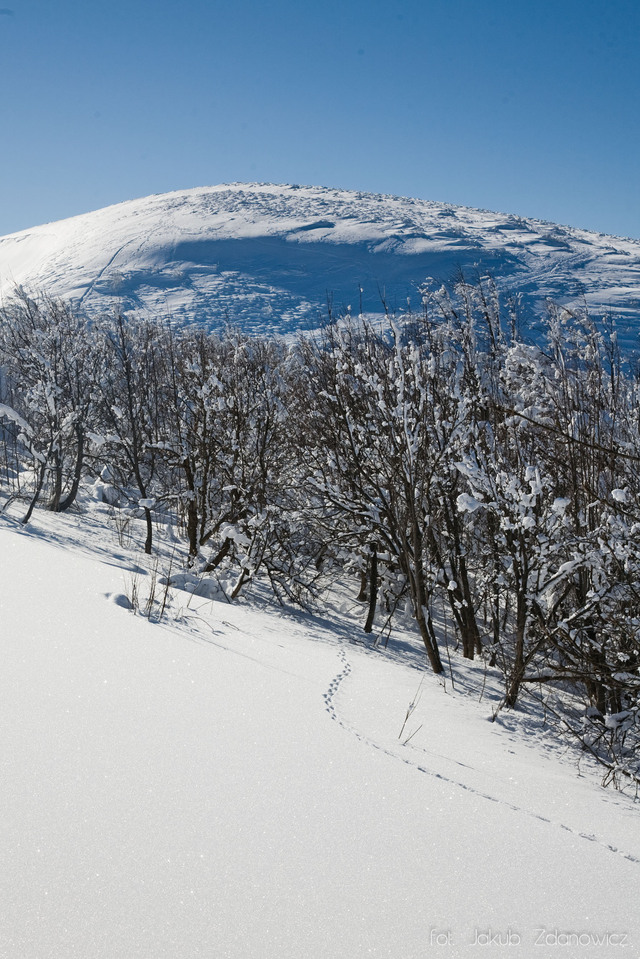 Bieszczady