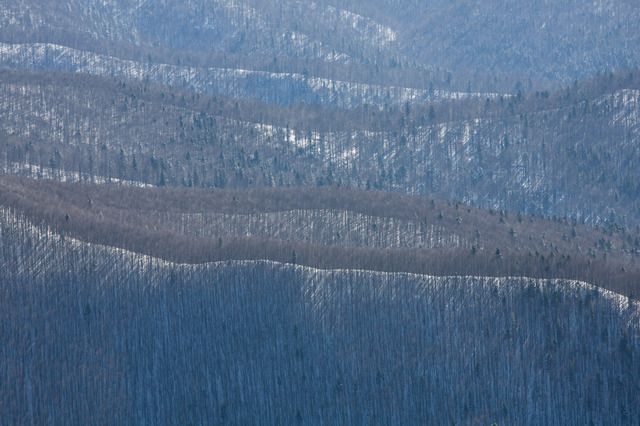 Bieszczady, zabawa w 