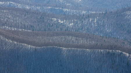Bieszczady, zabawa w – Góry, Konkursy