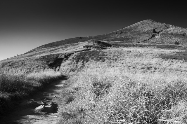 Bieszczady