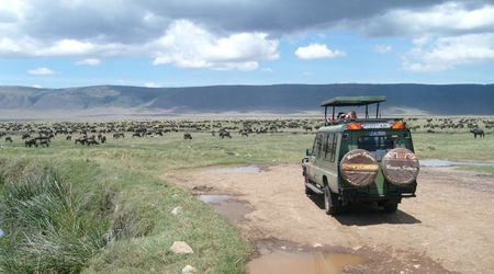 Podglądanie zwierząt – Tanzania