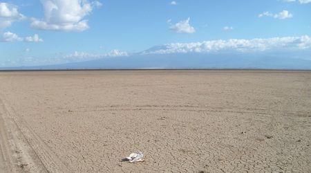 Widok na Kilimandżaro – Kenia