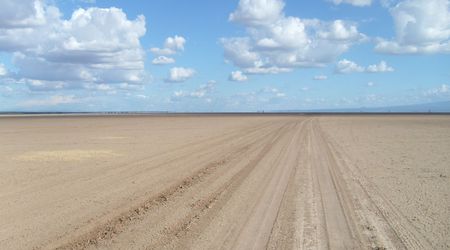 W parku Amboseli – Kenia