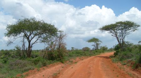 Droga w Tsavo West – Kenia