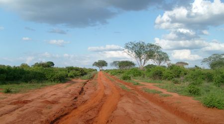 Bezdroża w Tsavo West – Kenia