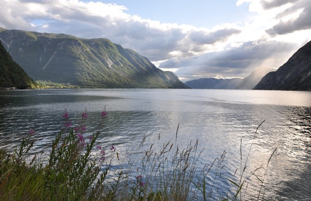 Norwegia