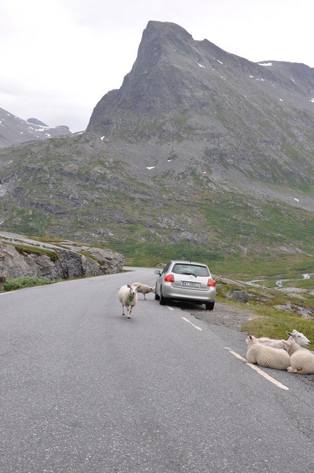 Norwegia