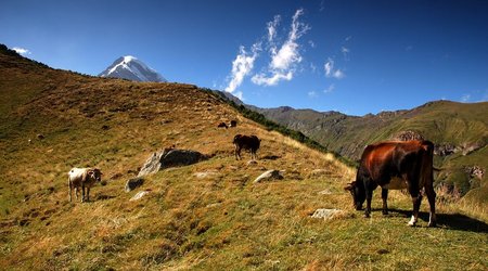 Kazbegi... – Gruzja