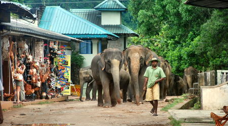 Sri Lanka