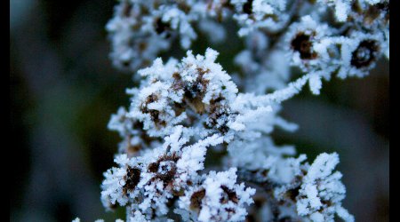 378367 - Hereford Zimowe klimaty – Wielka Brytania
