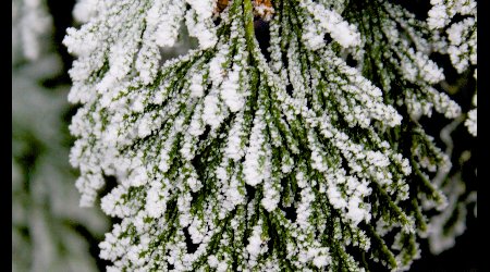 378369 - Hereford Zimowe klimaty – Wielka Brytania