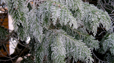 378370 - Hereford Zimowe klimaty – Wielka Brytania