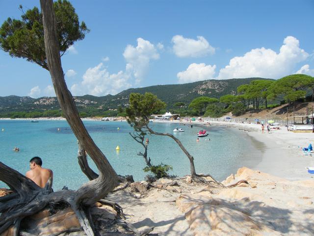 Korsyka