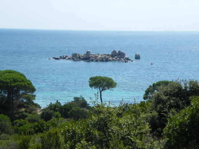 Korsyka