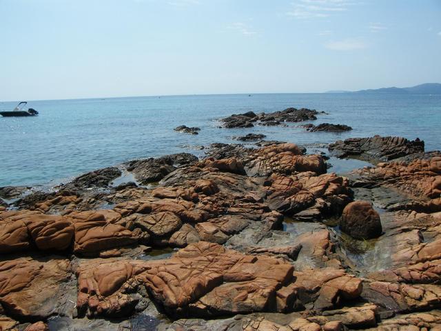 Korsyka