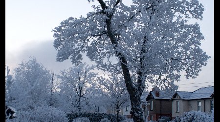 378555 - Hereford Zimowe klimaty – Wielka Brytania