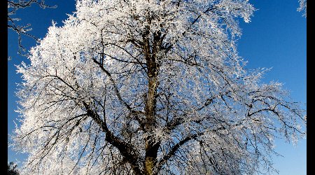 378587 - Hereford Zimowe klimaty – Wielka Brytania