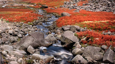 Glendalough – Irlandia