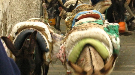 fez - medyna – Maroko