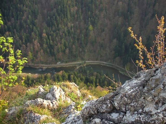 Pieniny