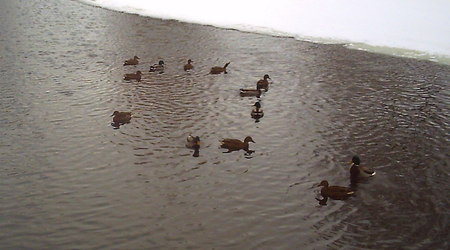 Zima - Lubawa – Polska