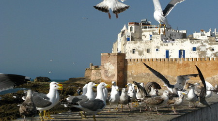 wyżerka – Essaouira, Maroko
