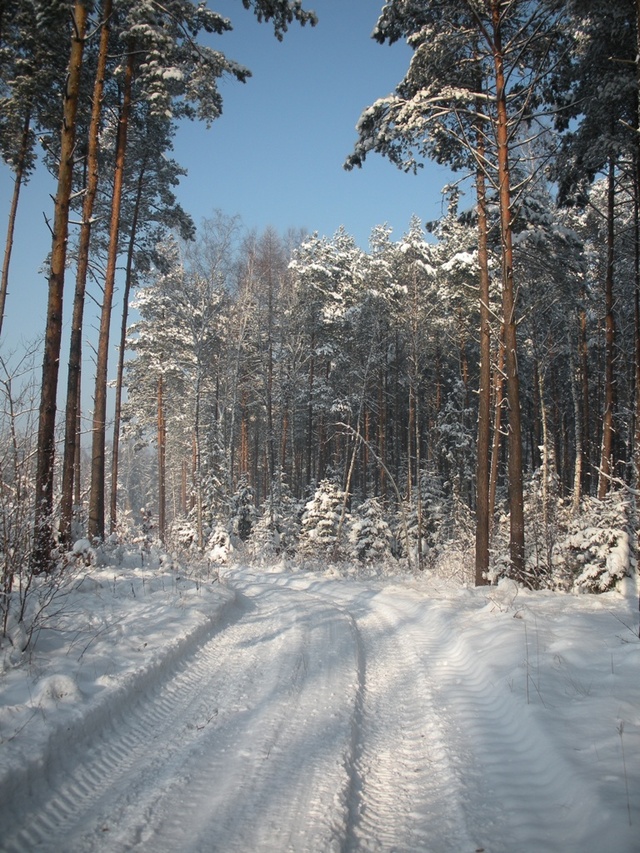 dscn1353