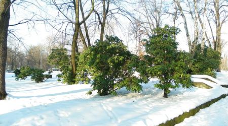 Katowice, Park im. Gen. Kościuszki, – Polska