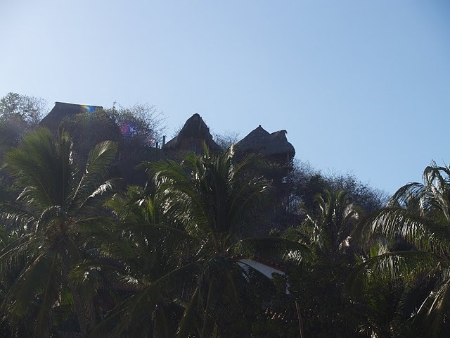 P3136944