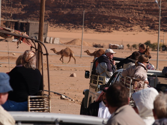 Pustynia Wadi Rum 