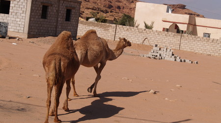 Pustynia Wadi Rum – Jordania