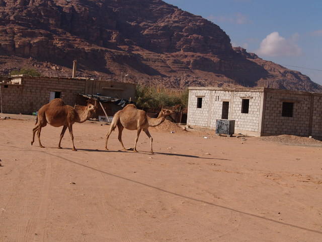 Pustynia Wadi Rum 