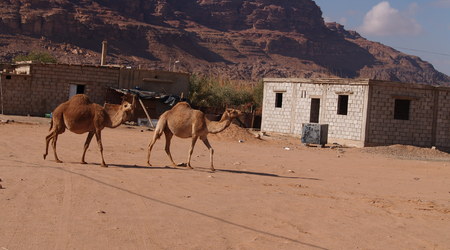 Pustynia Wadi Rum – Jordania