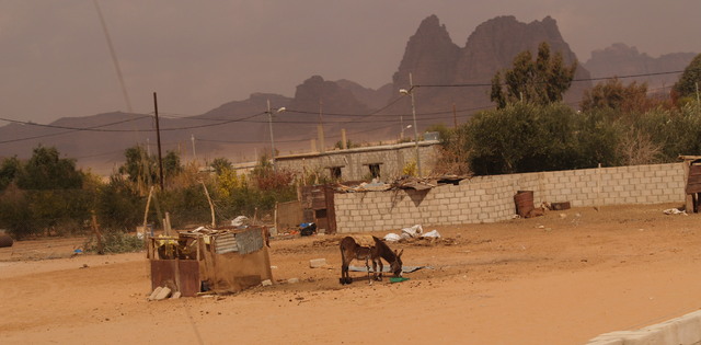 Pustynia Wadi Rum 
