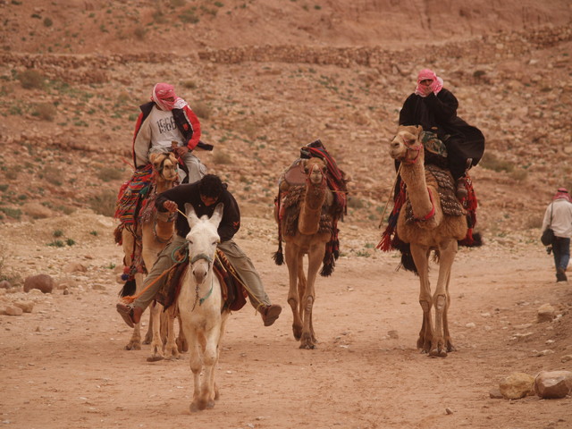 Petra