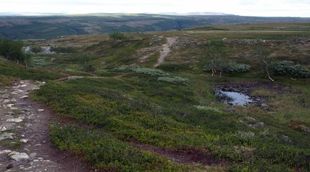 6 Alta – Norwegia