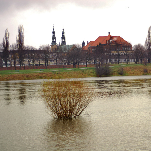 rozlewiska na Wartą
