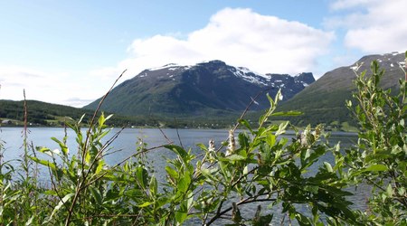 37 Alta – Norwegia