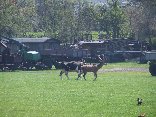 Ruda Śląska-Stara Kuźnica