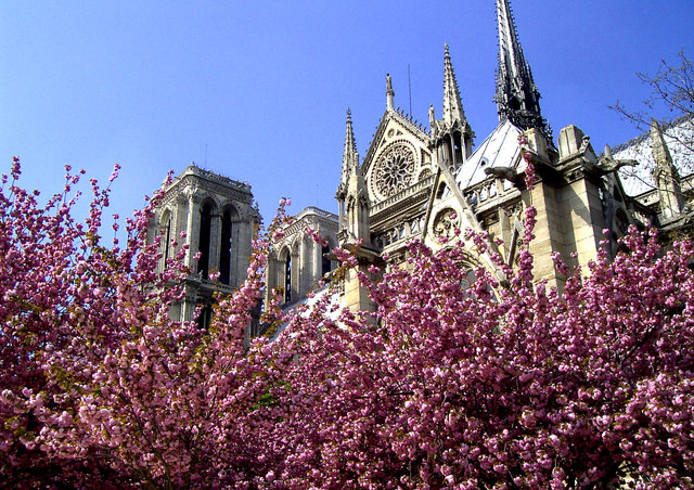 Wiosna w Notre Dame