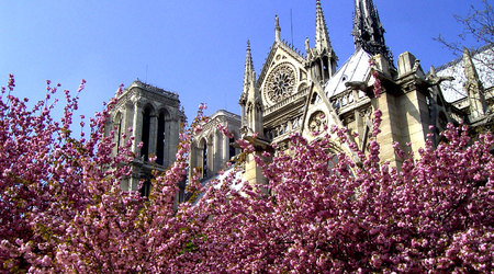 Wiosna w Notre Dame – Miejsca Święte, Konkursy