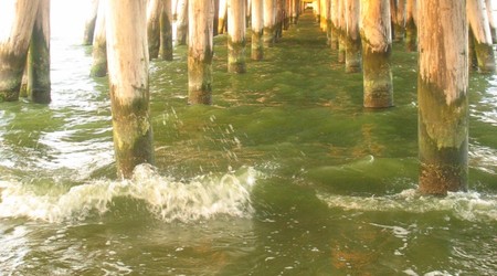 pod molo – Sopot, Polska