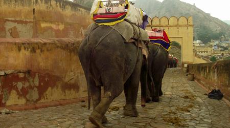 Amber Fort – Jaipur, Indie