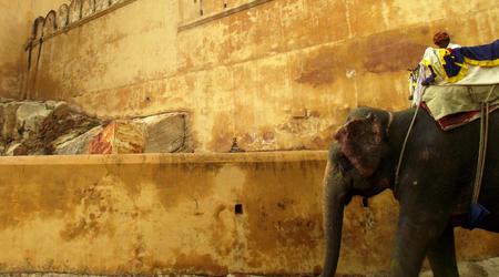 Amber Fort – Jaipur, Indie