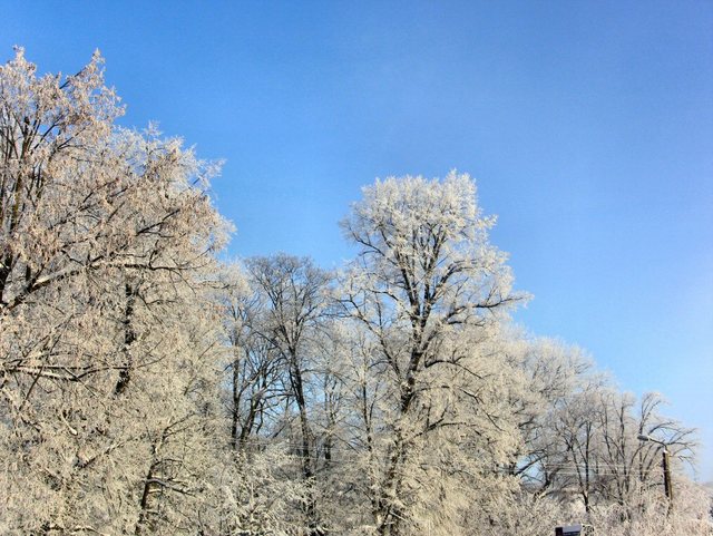 Kartuzy_grudzień 2010