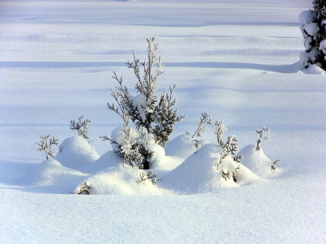 Kartuzy_grudzień 2010